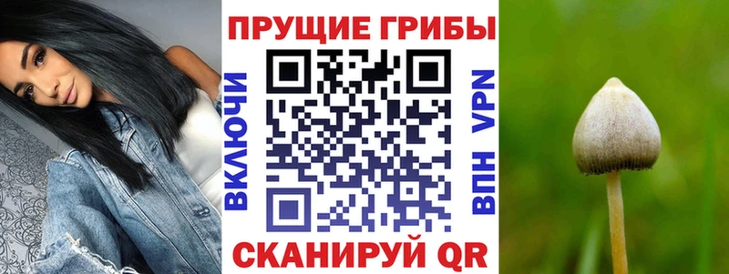 мориарти какой сайт  Москва  Галлюциногенные грибы Psilocybine cubensis  MEGA зеркало 